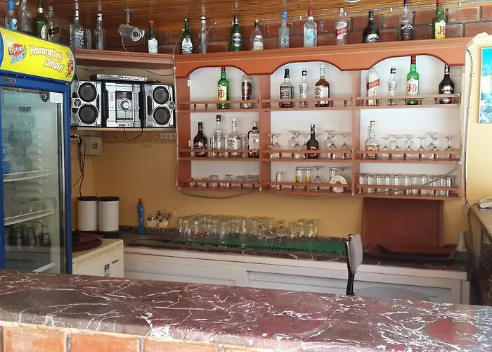 Caner 홈스테이 *