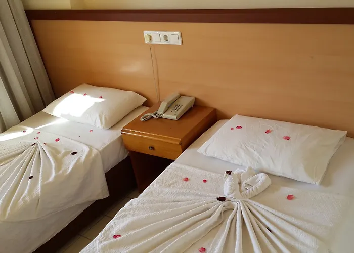 홈스테이 Caner *